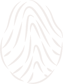 Logo Transparente