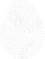 Logo secundária