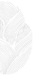 Textura png